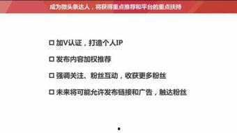 如何看头条小说阅读量,洞察热门作品背后的秘密