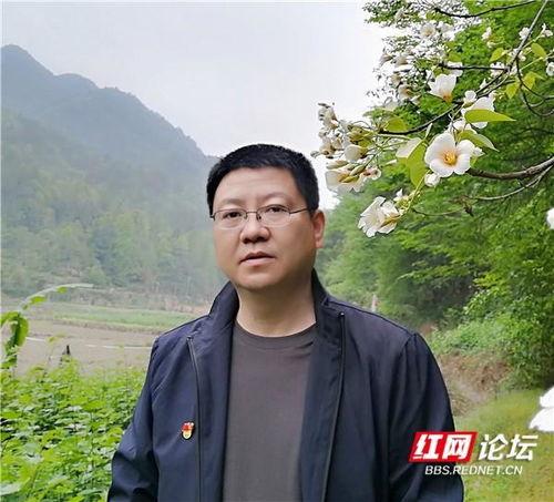 红网论坛张家界,红网论坛上的自然奇观与人文风情共舞