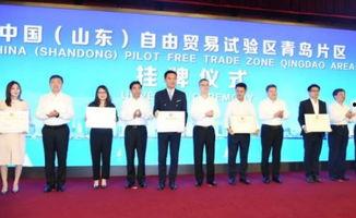 新闻爆料热线青岛,倾听民声，守护城市安全