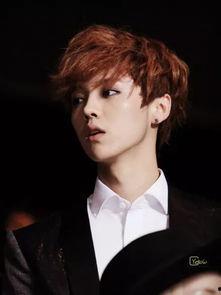 中国最帅的男明星鹿晗,中国娱乐圈的颜值担当与青春偶像